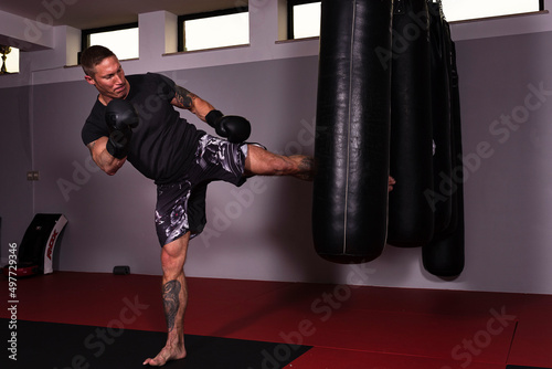 MMA Boxer training. gym training © fuchs mit foto