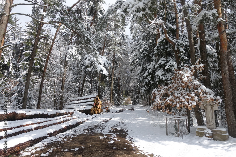 Naklejka premium Schöne Landschaft in Donau-Ries