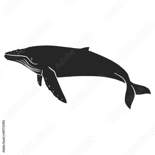 Hand drawn icon humpback whale