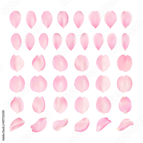 Vector template of sakura petal of various shapes on a white background. Realistic voluminous sakura petals. Close-up for romantic cards.