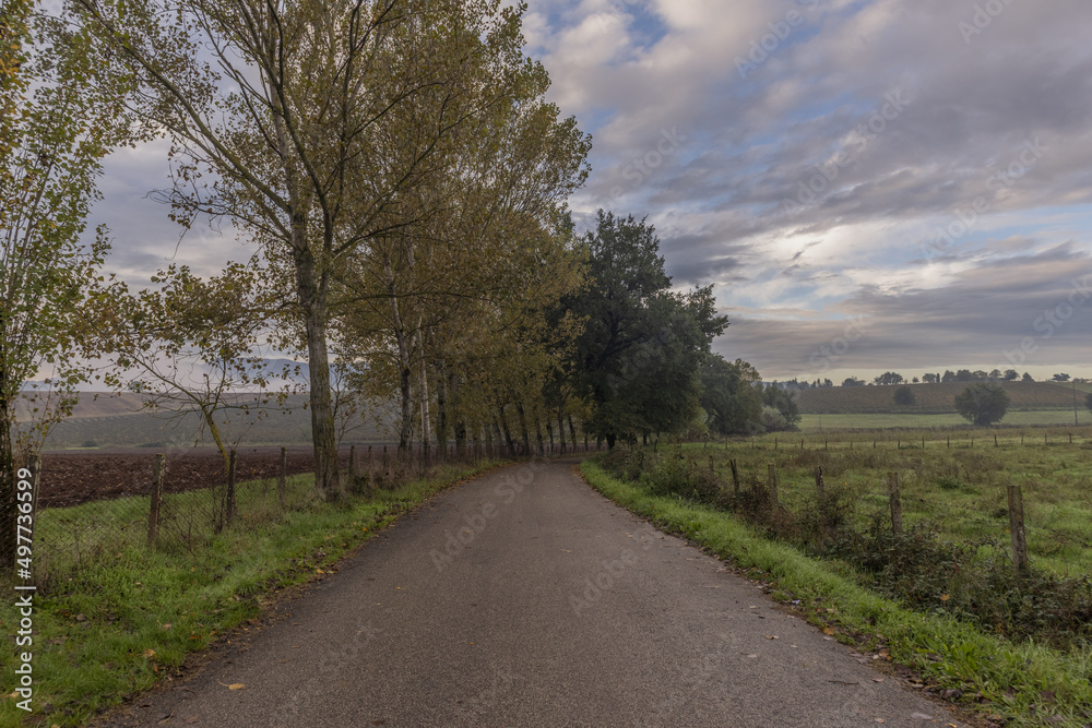 Strada di campagna