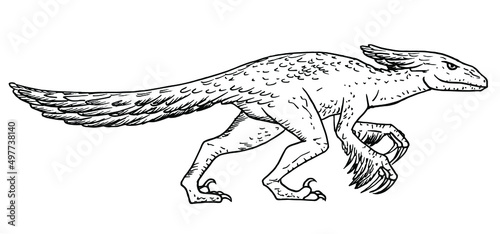 Pyroraptor dinosaur vector stock illustration.