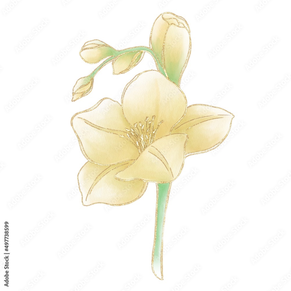 Illustration of a twig with yellow gladiolus flowers on a white background with a golden outline