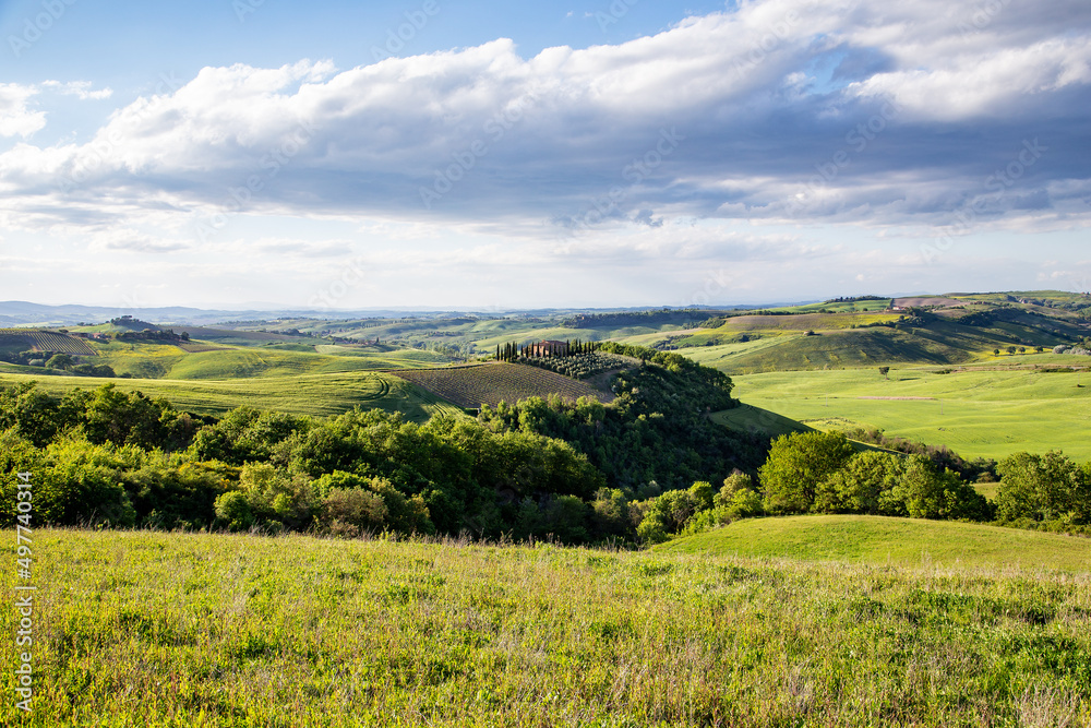 Fototapeta premium Agriculture landscape with field and blue sky