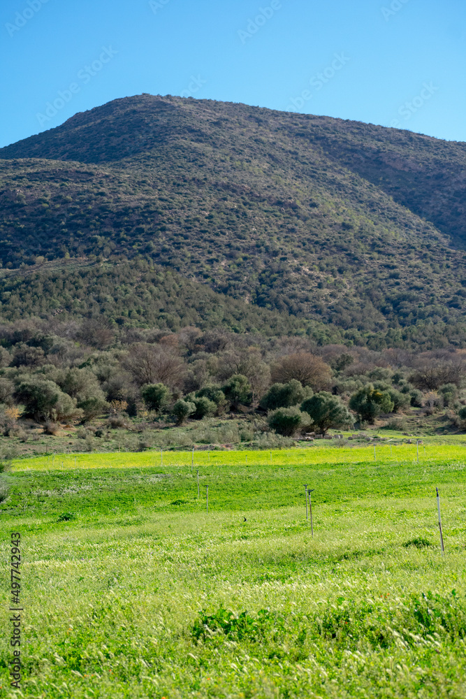 Obraz premium landscape with green grass and hills in the Aures mountains, Algeria