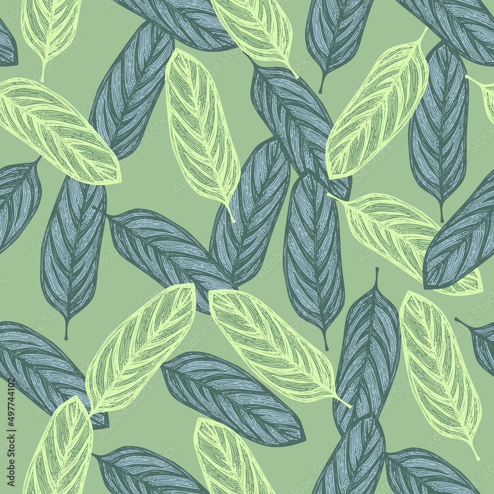Fototapeta premium Alocasia leaves seamless pattern.Vintage tropical branch in engraving style.