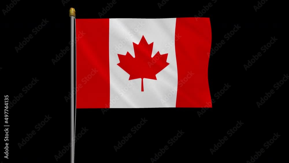A loop video of the Canada flag swaying in the wind from a frontal perspective. A loop video of the Canada flag swaying in the wind from a frontal perspective.