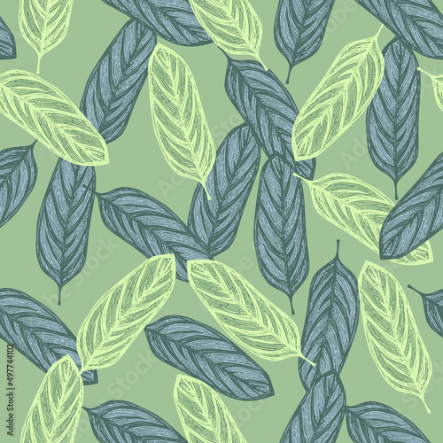 Alocasia leaves seamless pattern.Vintage tropical branch in engraving style.