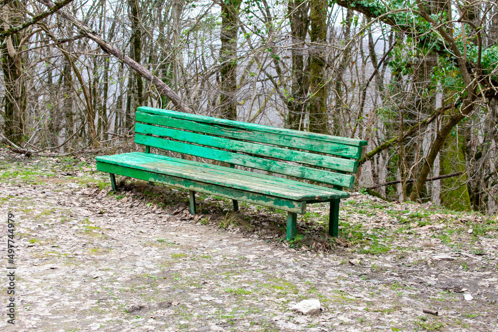 Old wooden green bench in the park or forest. Spring. Day. Aged paint on bench Old wooden green bench in the park or forest. Spring. Day. Aged paint on bench