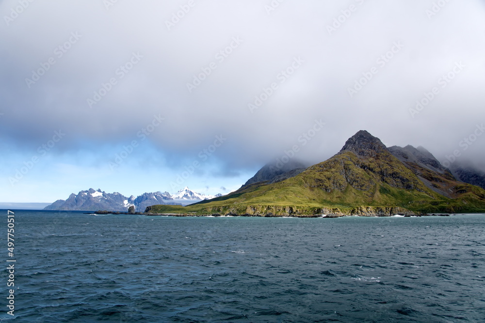 Peninsula covered in lush vegetation in front of snow covered mountains at Coopers Bay, South Georgia Island