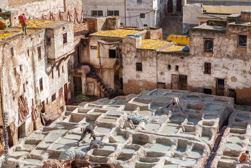 La conceria tradizionale nel cuore della medina di Fez Marocco con pozzetti di tinta photo