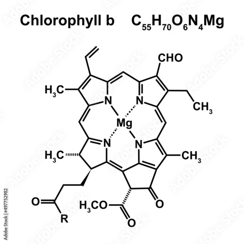 Chlorophyll b Chemical Structure. Vector Illustration.