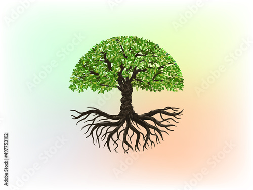 Tree and roots logo design vector isolated,  tree with round shape