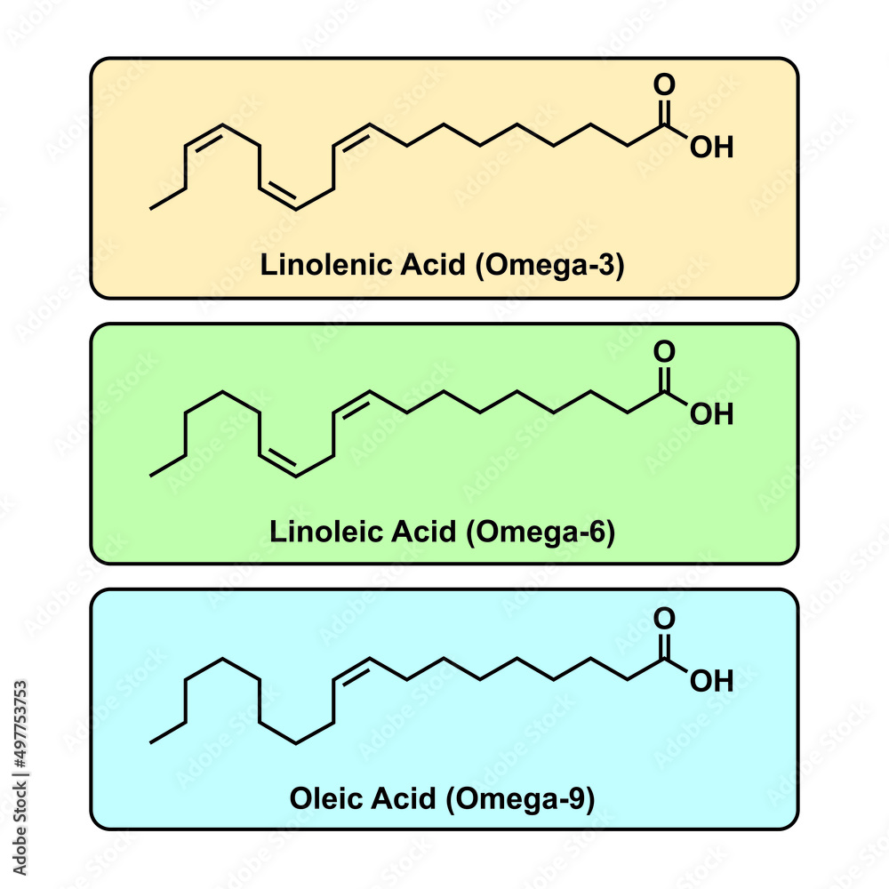 Chemical Structure Of Some Fatty Acids (Linolenic Acid, Linoleic Acid