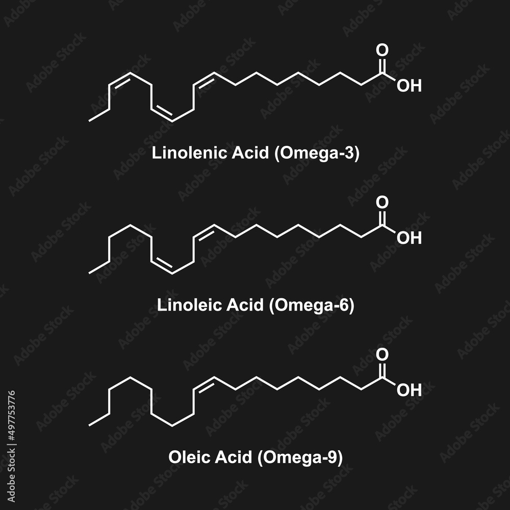 Chemical Structure Of Some Fatty Acids (Linolenic Acid, Linoleic Acid