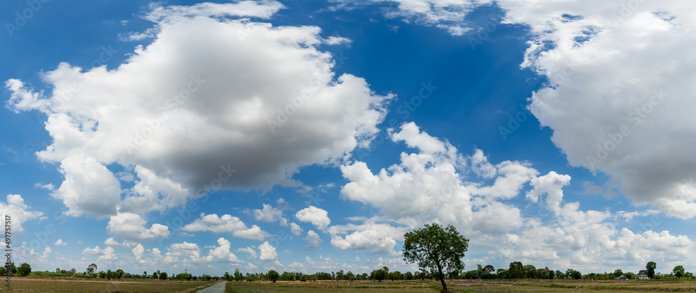 Sky with white fluffy clouds on the blue sky over the rice field.