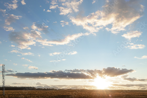 landscape of the field and clouds on the horizon  white clouds on the gradient sky