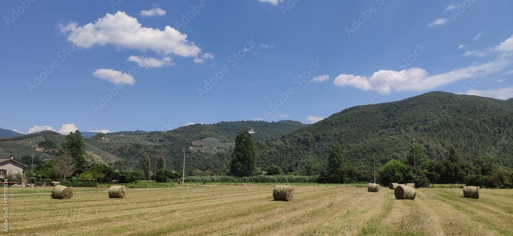 Field with green mountains