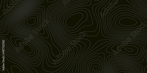 Abstract design with black and white background in vector design . Elegant black background with flowing lines. Minimal geometric curve dynamic shapes composition. Wavy background abstract papercut. © Sajjad