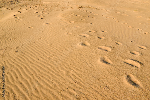 riverside sand desert with footprints