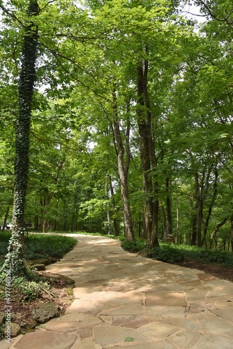 Path through trees