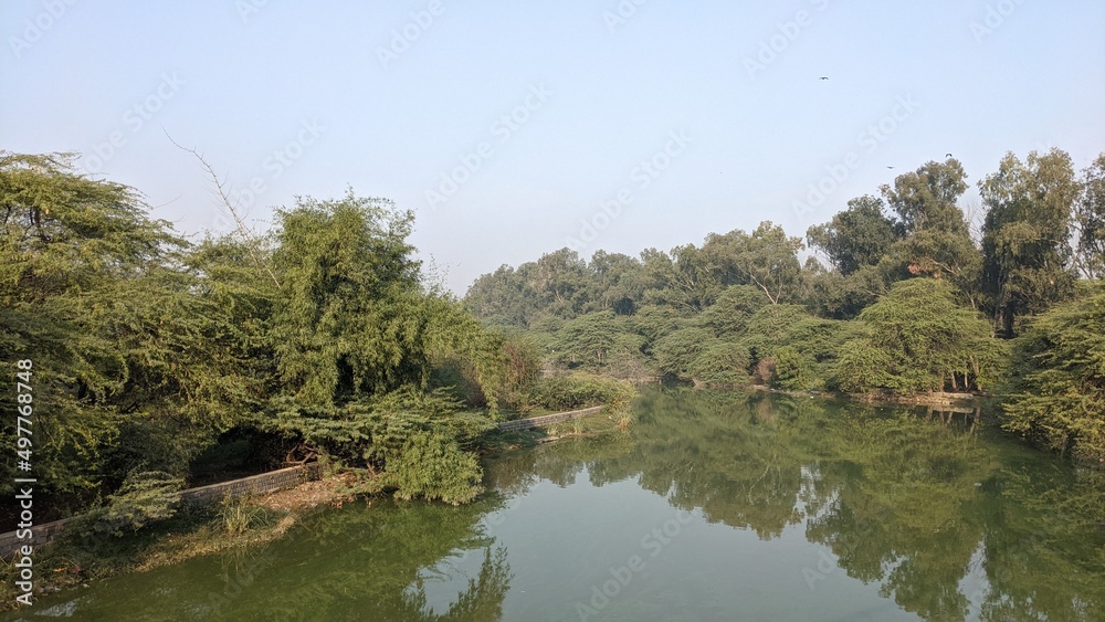 Sanjay Lake view with reflection of dense trees on either side in Delhi in India