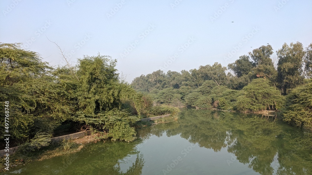 Sanjay Lake view with reflection of dense trees on either side in Delhi in India Sanjay Lake view with reflection of dense trees on either side in Delhi in India