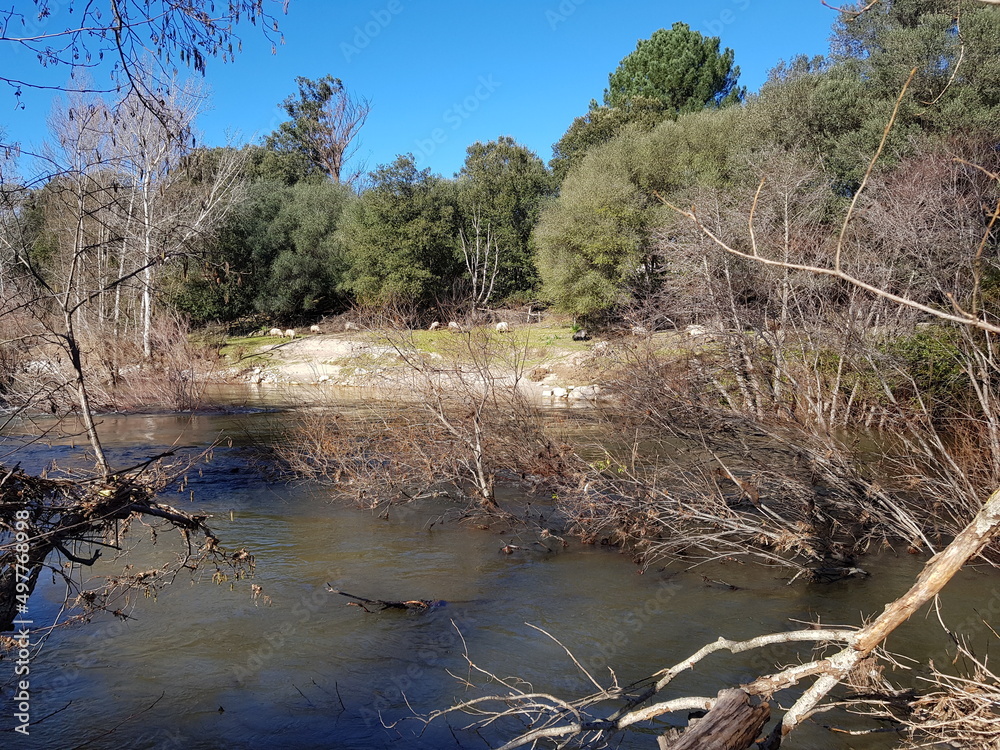 Fluss auf Korsika Fluss auf Korsika