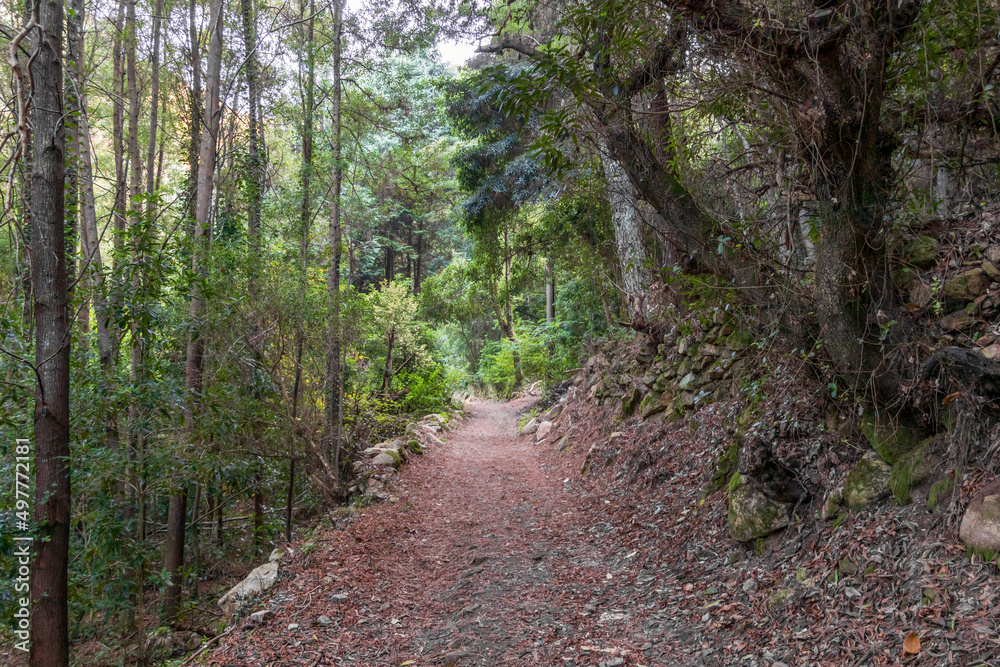 Sintra Mountain valley covered with green forest at the Sintra-Cascais Natural Park, hiking trail in Portugal Sintra Mountain valley covered with green forest at the Sintra-Cascais Natural Park, hiking trail in Portugal