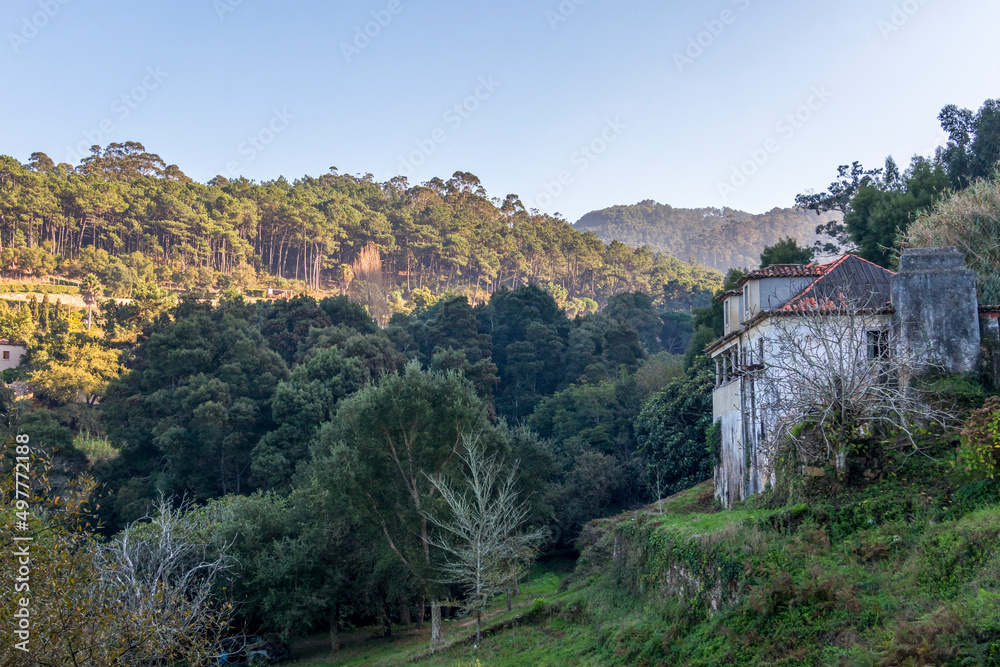 Sintra Mountain valley covered with green forest at the Sintra-Cascais Natural Park, hiking trail in Portugal