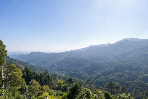 Sintra Mountain valley covered with green forest at the Sintra-Cascais Natural Park, hiking trail in Portugal © nomadkate