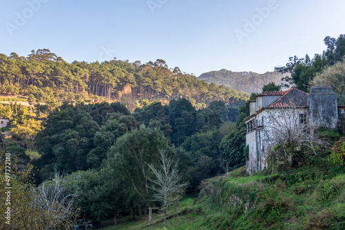 Sintra Mountain valley covered with green forest at the Sintra-Cascais Natural Park  hiking trail in Portugal