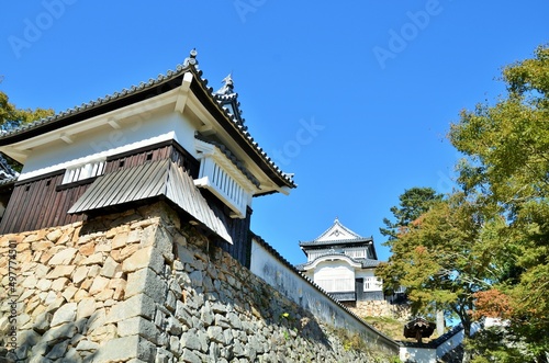 備中松山城 天守閣と五の平櫓 photo