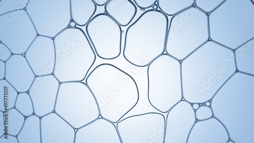 Tablou canvas Transparent liquid flows between different sized clear bubbles connected in grid