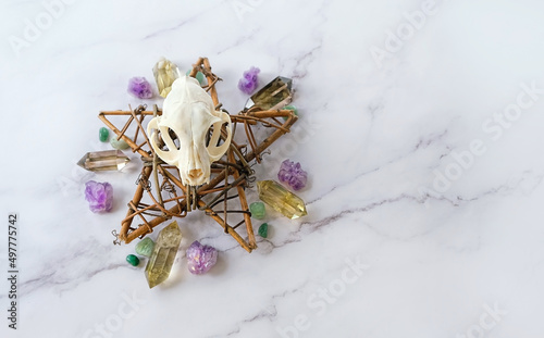 minerals, pentacle and animal skull close up on marble background. Quartz Stones for healing esoteric Crystal ritual, spiritual Magic practice, relaxation, meditation. top view