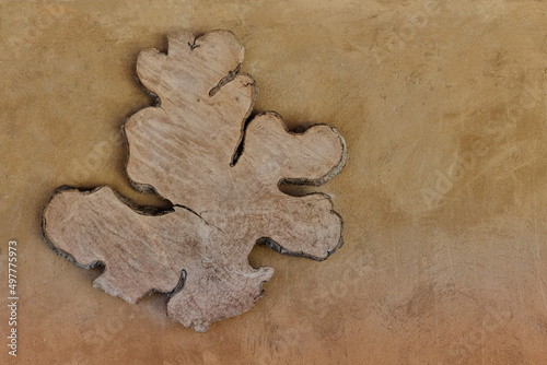 Saw cut of tree of bizarre form on clay wall as abstract background.