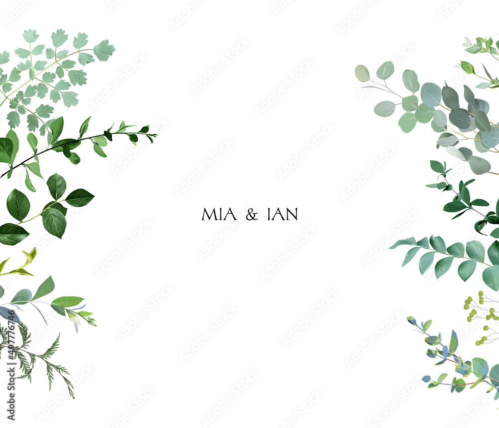 Herbal horizontal vector frame. Hand painted plants, branches, leaves on a white background