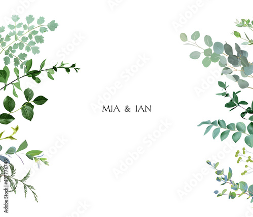 Herbal horizontal vector frame. Hand painted plants, branches, leaves on a white background