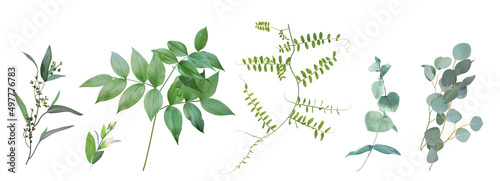 Mix of spring herbs and plants vector collection. Cute rustic wedding greenery photo