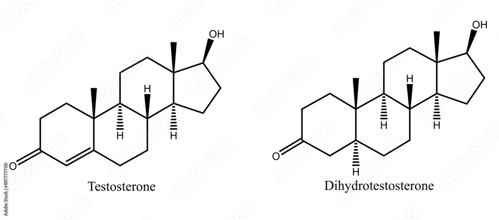Testosterone and dihydrotestosterone - male Sex hormones - obrazy, fototapety, plakaty 