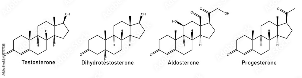human Sex hormones - Testosterone, Aldosterone, Progesterone, dihydrotestosterone - obrazy, fototapety, plakaty 
