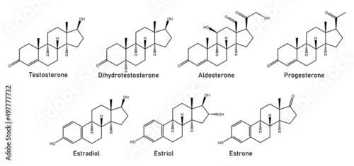 human Sex Hormones and analogues - Testosterone, dihydrotestosterone, aldosterone, progesterone, estradiol, estriol, estrone