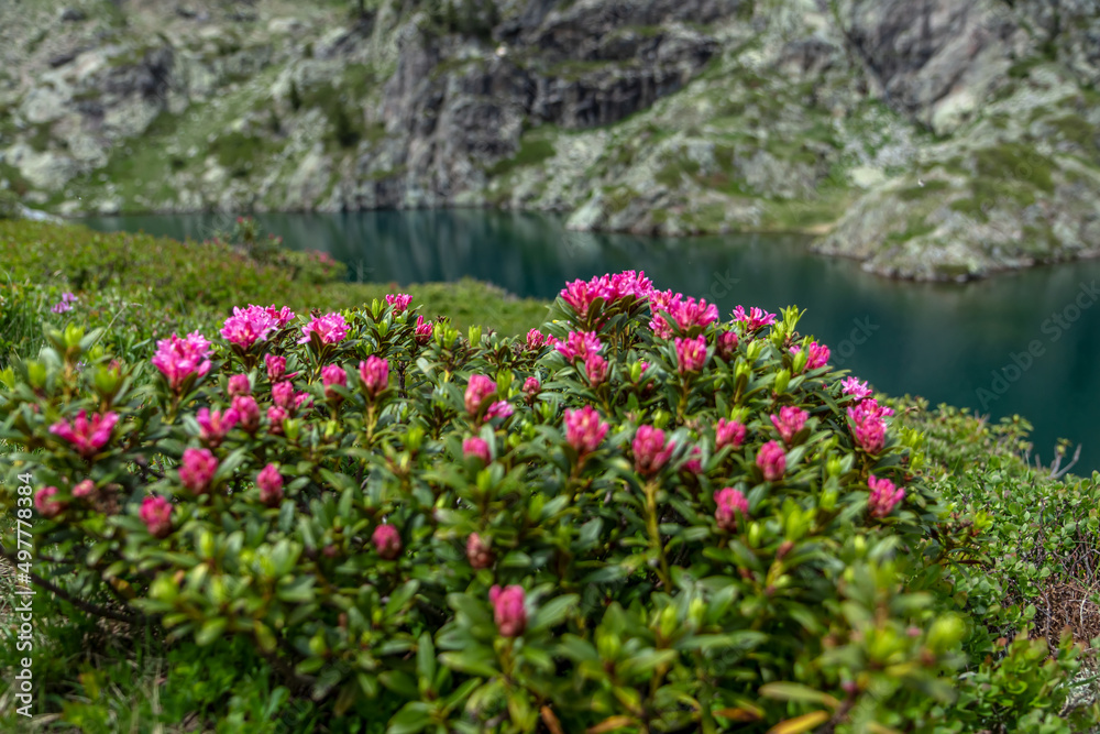 Paysage de la chaîne de Belledonne au printemps , Lac Merlat , Alpes , Isère , France Paysage de la chaîne de Belledonne au printemps , Lac Merlat , Alpes , Isère , France