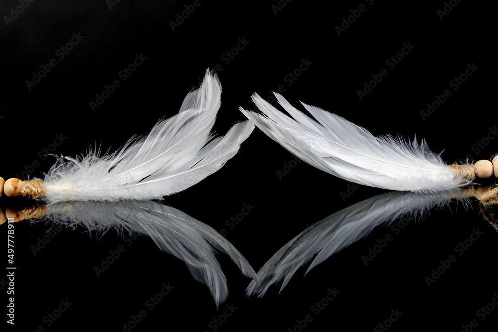 Obraz premium Federn