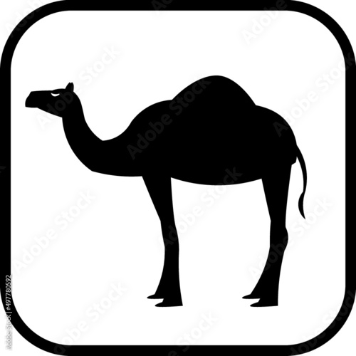 Camel silhouette logo vector icon