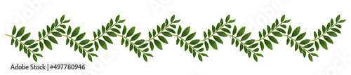 Twigs of pistachio with sma...