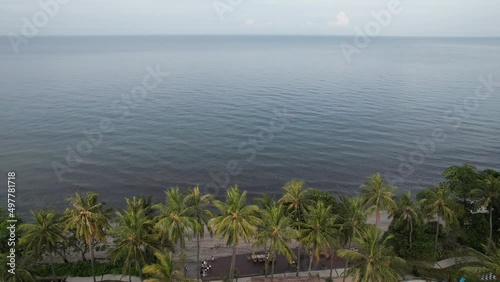 coconut trees and beach photo