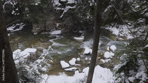 Snowfall on the winter forest mountain river in Carpathians, Prut River, Mykulychyn, Ukraine. Wild Mountain River Flowing in canyon with Stone Boulders and Stone Rapids.