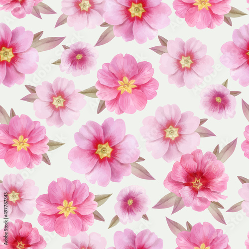 Pattern with delicate pink primrose flowers, vector, watercolor illustration © Ekaterina