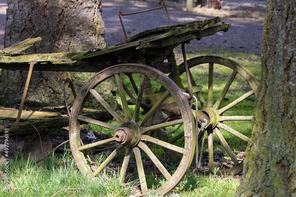 Study of Mossy Antique Flower Wagon in Disrepair